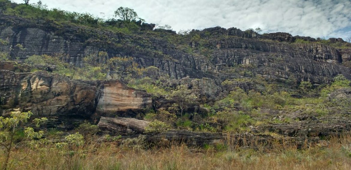 Jornada Científica 2017 – Biomas Brasileiros: Caatinga – 9º ano