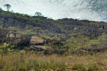 Jornada Científica 2017 – Biomas Brasileiros: Caatinga – 9º ano