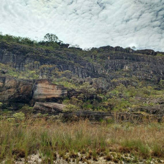 Jornada Científica 2017 – Biomas Brasileiros: Caatinga – 9º ano