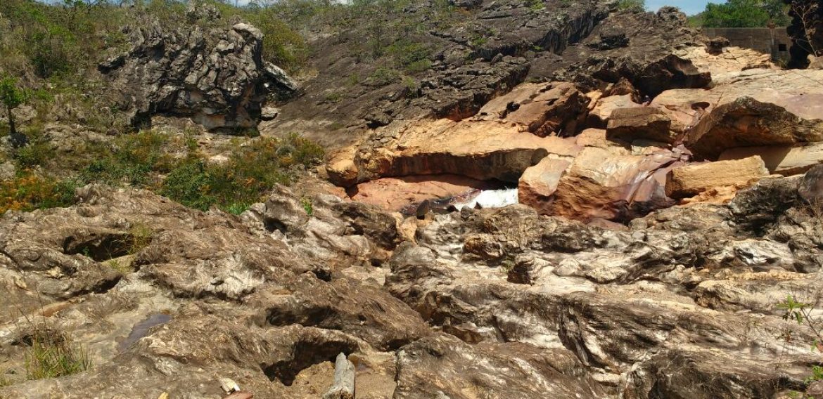 Jornada Científica 2017 – Biomas Brasileiros: Caatinga – 9º ano