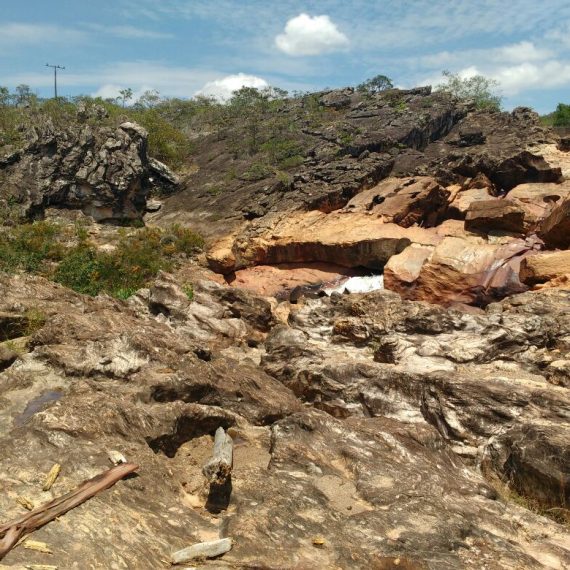Jornada Científica 2017 – Biomas Brasileiros: Caatinga – 9º ano