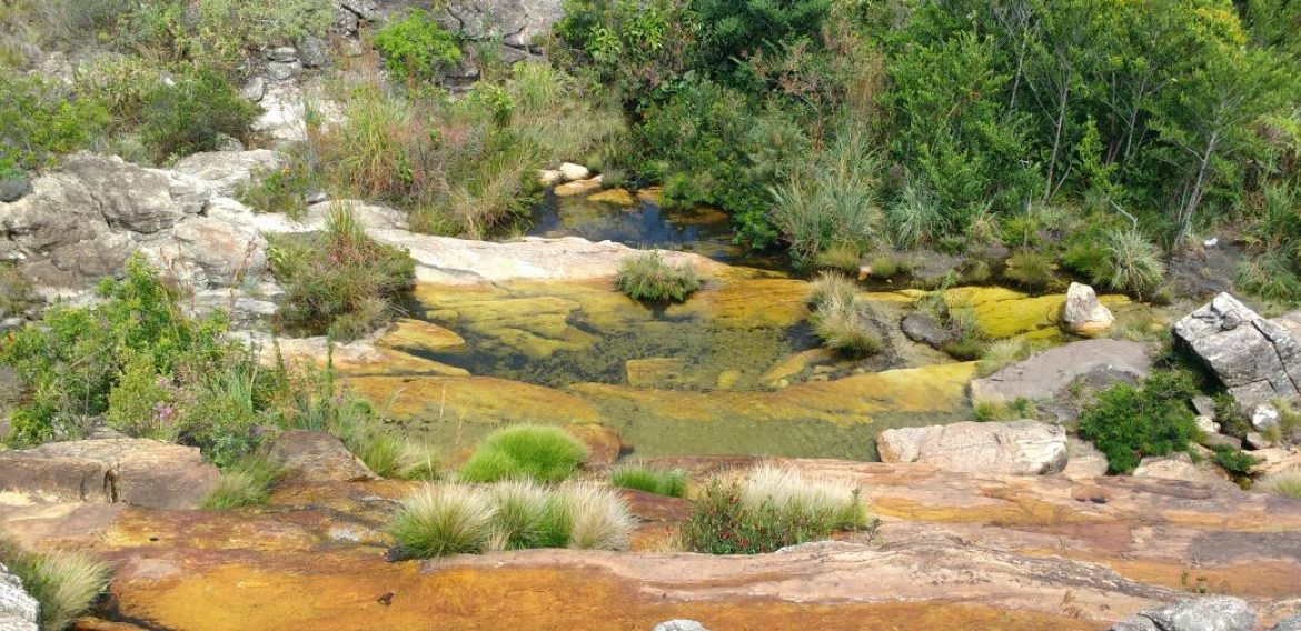 Jornada Científica 2017 – Biomas Brasileiros: Caatinga – 9º ano