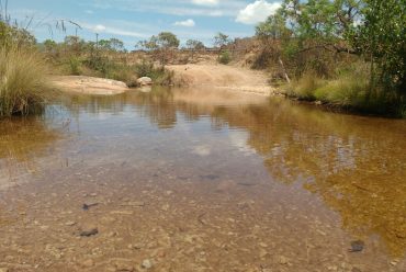 Jornada Científica 2017 – Biomas Brasileiros: Caatinga – 9º ano