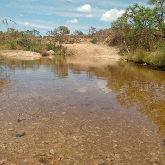 Jornada Científica 2017 – Biomas Brasileiros: Caatinga – 9º ano