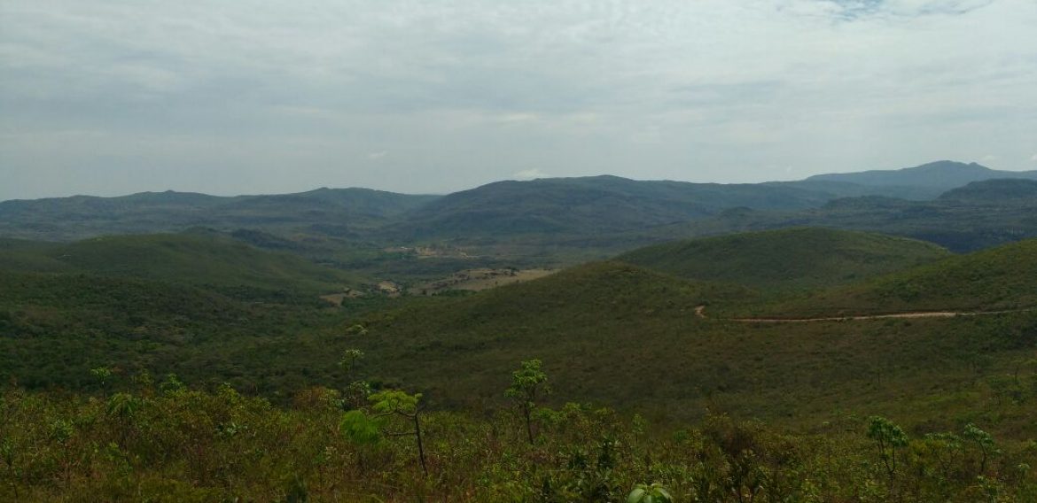 Jornada Científica 2017 – Biomas Brasileiros: Caatinga – 9º ano