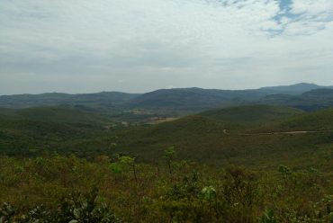 Jornada Científica 2017 – Biomas Brasileiros: Caatinga – 9º ano