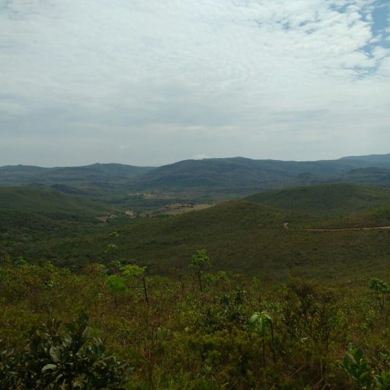 Jornada Científica 2017 – Biomas Brasileiros: Caatinga – 9º ano