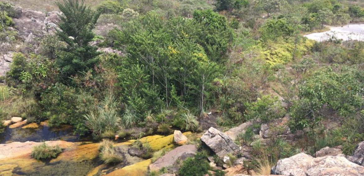 Jornada Científica 2017 – Biomas Brasileiros: Caatinga – 9º ano
