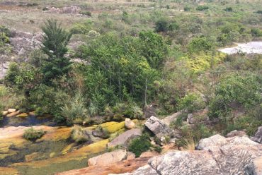 Jornada Científica 2017 – Biomas Brasileiros: Caatinga – 9º ano