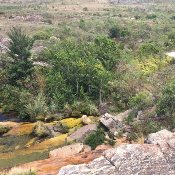 Jornada Científica 2017 – Biomas Brasileiros: Caatinga – 9º ano