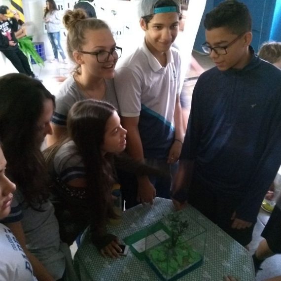 Jornada Científica 2017 – Biomas Brasileiros: Cerrado – 6º ano