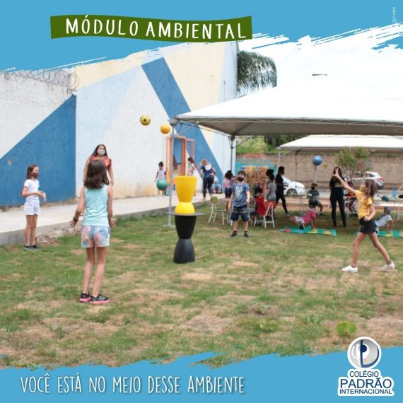 MÓDULO AMBIENTAL